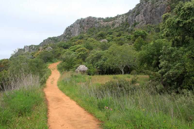 Scenic hiking trail at Rocha da Pena with dirt path through green vegetation leading to rocky cliffs